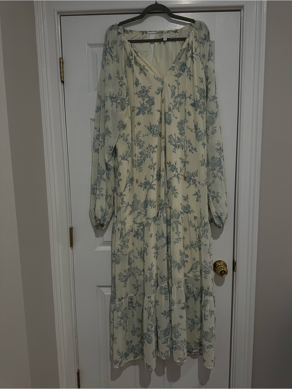 Ivy City Co Cream Maxi Dress with Blue Floral Print